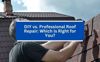 DIY vs. Professional Roof Repair: Which Is Right for You?