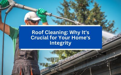 Roof Cleaning: Why It’s Crucial for Your Home’s Integrity