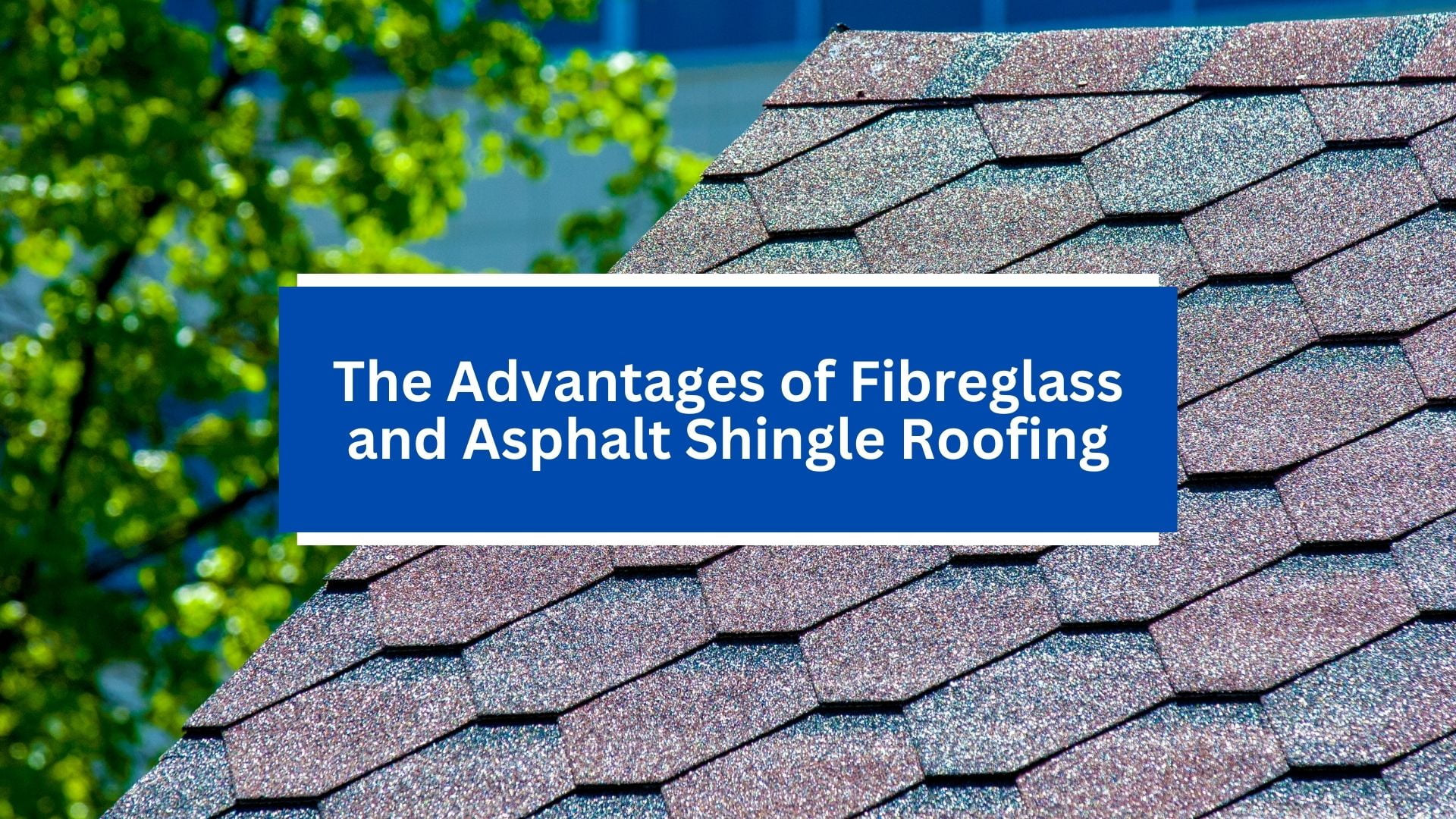 The Advantages of Fibreglass and Asphalt Shingle Roofing The Advantages of Fibreglass and Asphalt Shingle Roofing