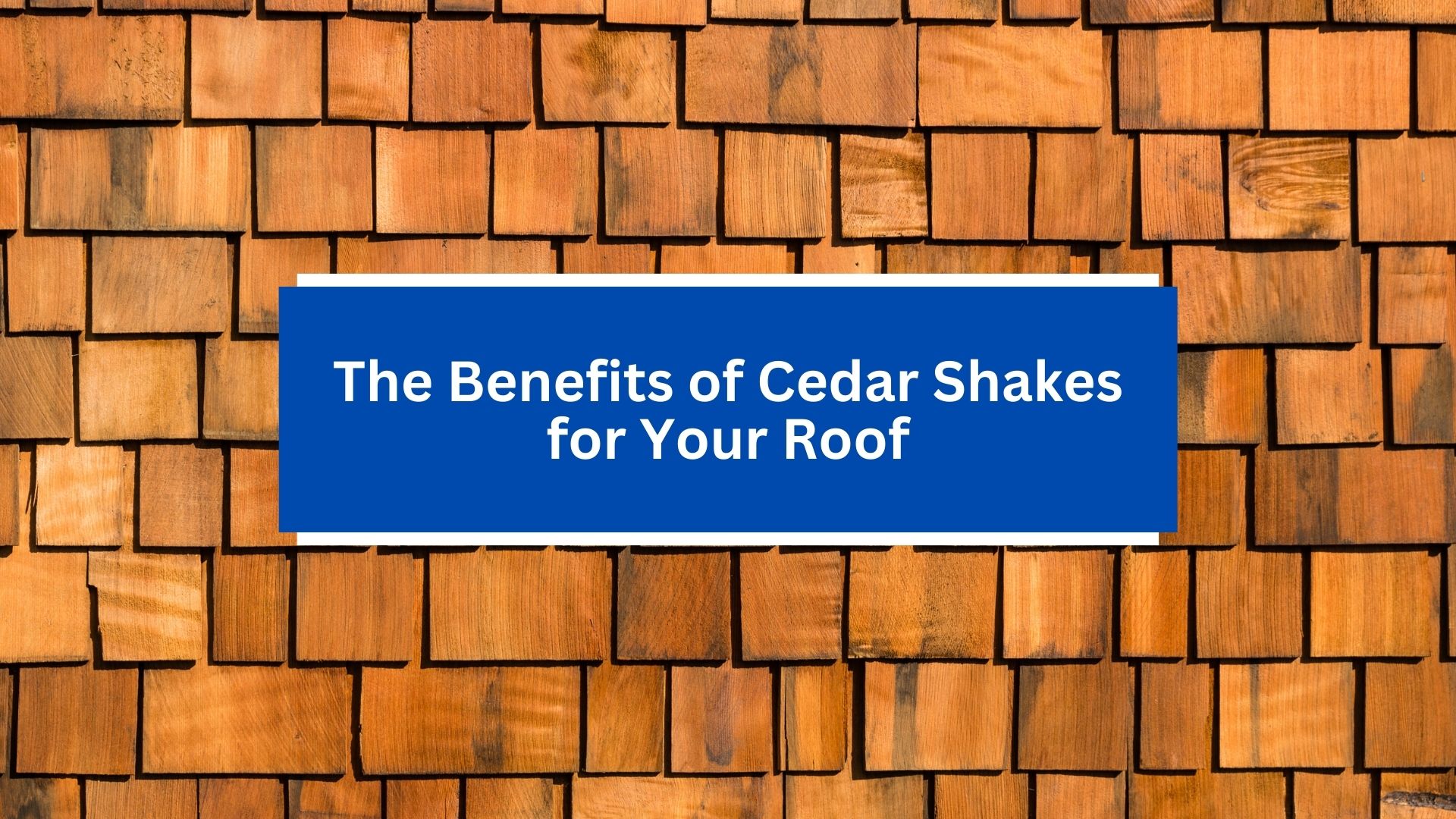 The Benefits of Cedar Shakes for Your Roof The Benefits of Cedar Shakes for Your Roof