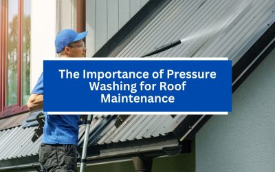 The Importance of Pressure Washing for Roof Maintenance