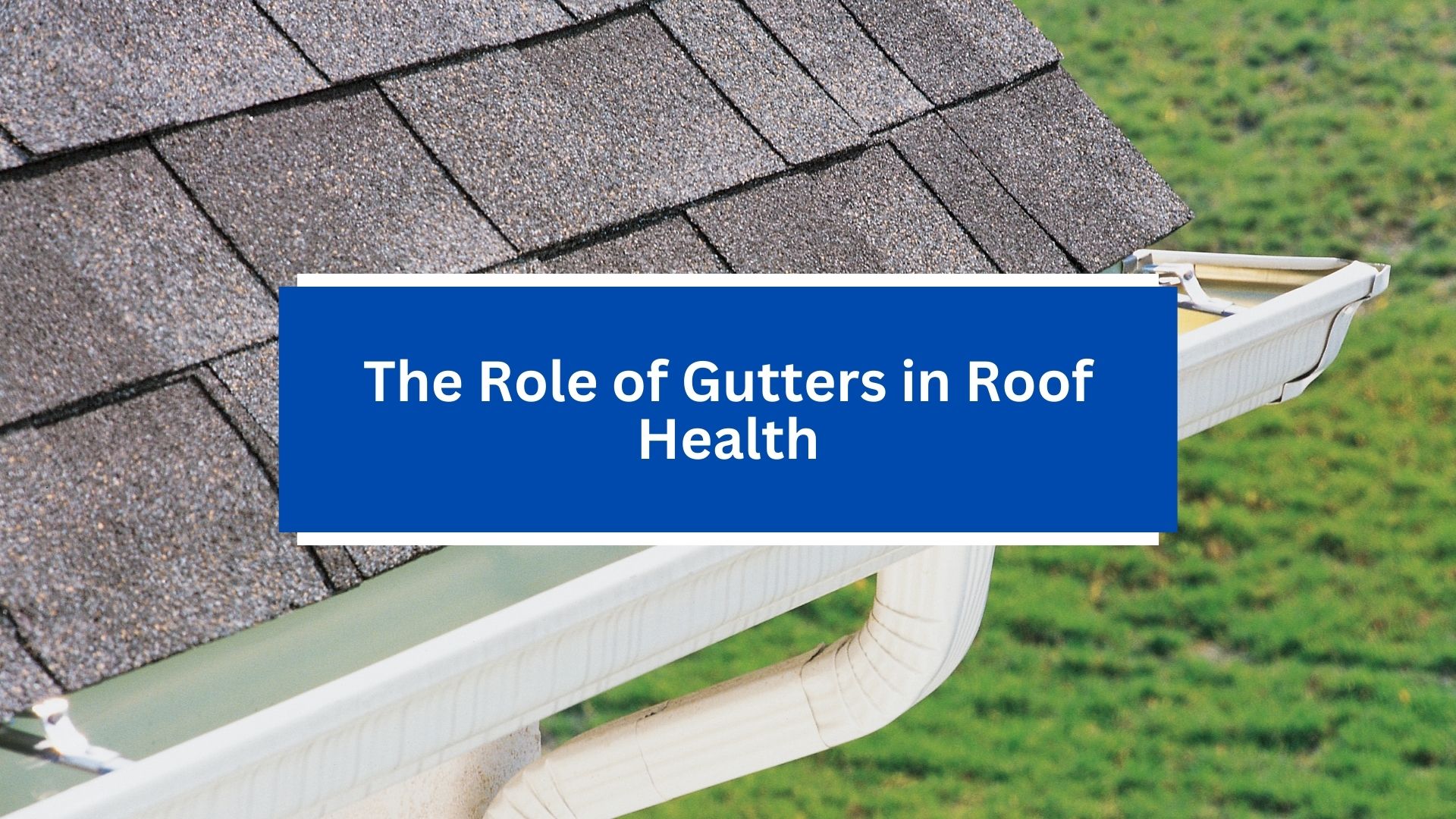 The Role of Gutters in Roof Health The Role of Gutters in Roof Health